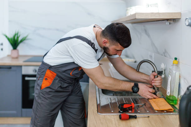 Best Plumbing Inspection Services  in Alb, IA