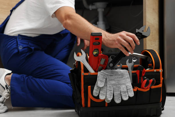 Best Drain Cleaning Services  in Alb, IA